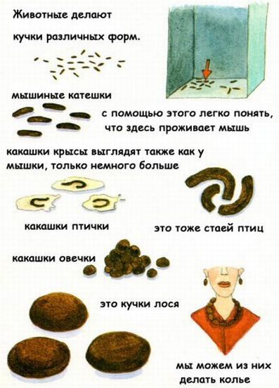 https://forumupload.ru/uploads/0004/fb/08/15263-3-f.jpg