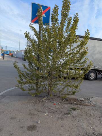 https://forumupload.ru/uploads/0006/60/18/7265/t255482.jpg