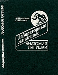 https://forumupload.ru/uploads/0008/03/58/3812-1-f.jpg