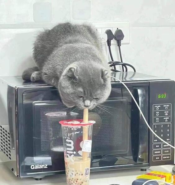 https://forumupload.ru/uploads/0009/61/87/126/t107863.jpg