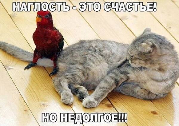 https://forumupload.ru/uploads/0009/61/87/126/t142744.jpg