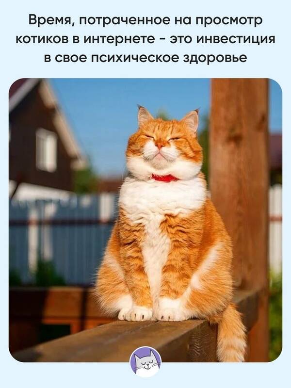 https://forumupload.ru/uploads/0009/61/87/126/t182147.jpg
