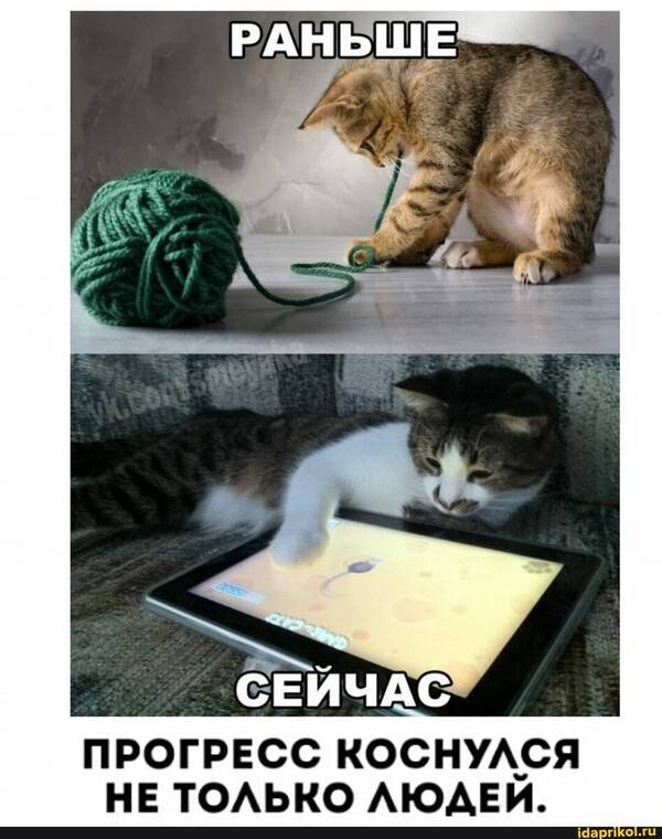 https://forumupload.ru/uploads/0009/61/87/126/t204425.jpg