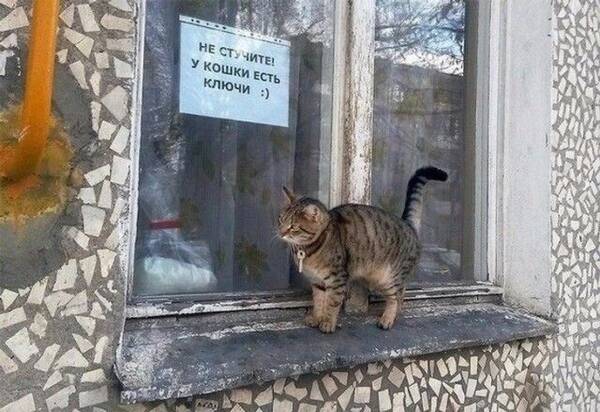 https://forumupload.ru/uploads/0009/61/87/126/t228305.jpg