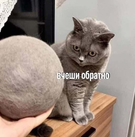 https://forumupload.ru/uploads/0009/61/87/126/t280771.jpg