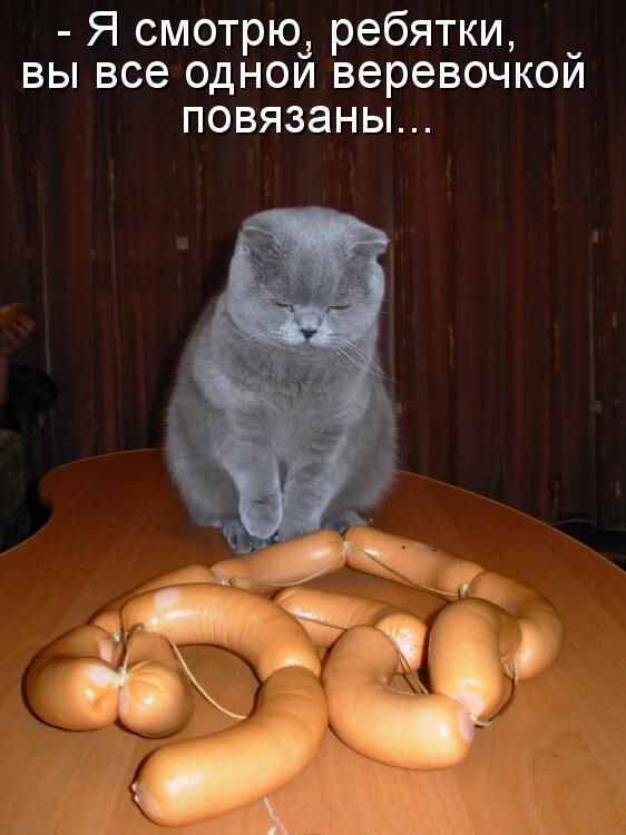 https://forumupload.ru/uploads/0009/61/87/126/t285810.jpg