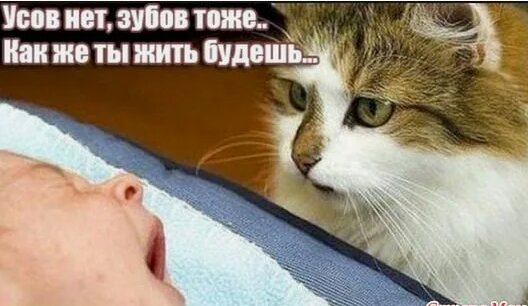 https://forumupload.ru/uploads/0009/61/87/126/t310305.jpg