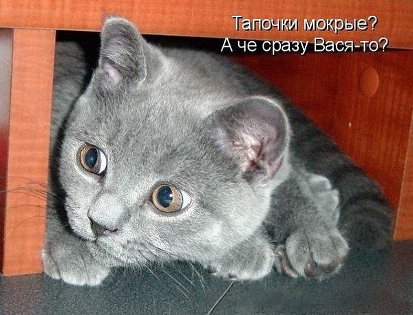 https://forumupload.ru/uploads/0009/61/87/126/t374054.jpg