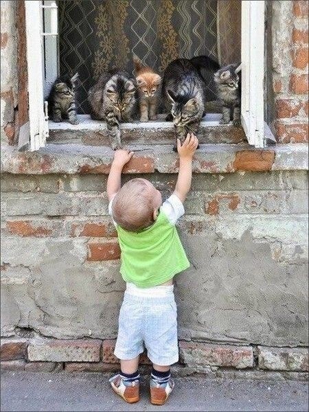 https://forumupload.ru/uploads/0009/61/87/126/t473506.jpg