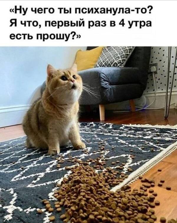 https://forumupload.ru/uploads/0009/61/87/126/t540965.jpg