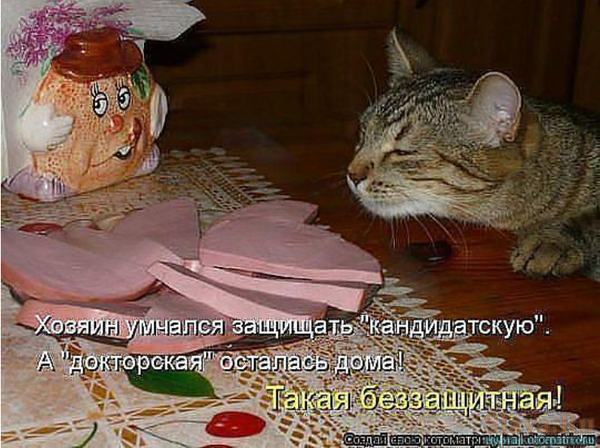 https://forumupload.ru/uploads/0009/61/87/126/t559225.png