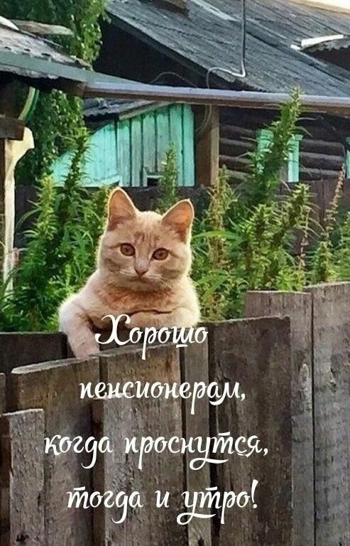 https://forumupload.ru/uploads/0009/61/87/126/t691521.jpg