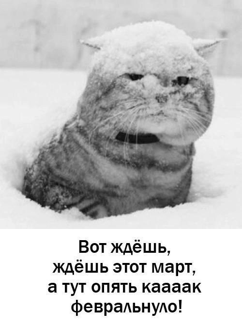 https://forumupload.ru/uploads/0009/61/87/126/t712208.jpg