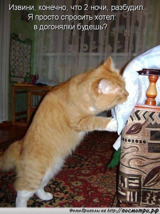 https://forumupload.ru/uploads/0009/61/87/126/t737576.jpg