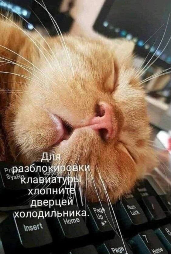https://forumupload.ru/uploads/0009/61/87/126/t79107.jpg