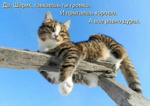 https://forumupload.ru/uploads/0009/61/87/126/t857404.jpg