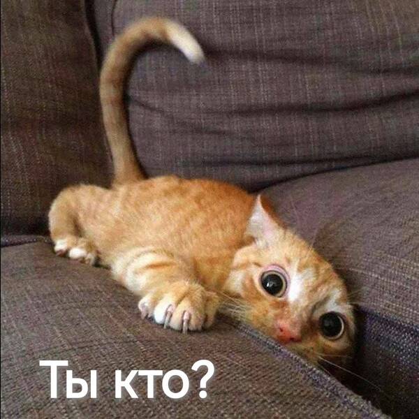 https://forumupload.ru/uploads/0009/61/87/126/t948845.jpg