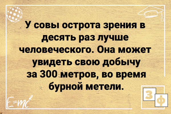 https://forumupload.ru/uploads/0009/61/87/1290/861269.png