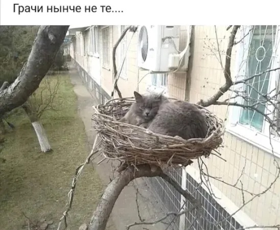 https://forumupload.ru/uploads/0009/61/87/230/257371.jpg