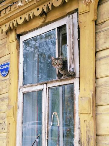https://forumupload.ru/uploads/0009/61/87/230/t466695.jpg