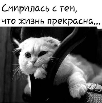 https://forumupload.ru/uploads/0009/61/87/230/t489448.jpg