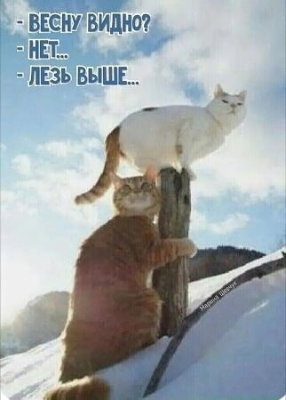 https://forumupload.ru/uploads/0009/61/87/230/t791720.jpg