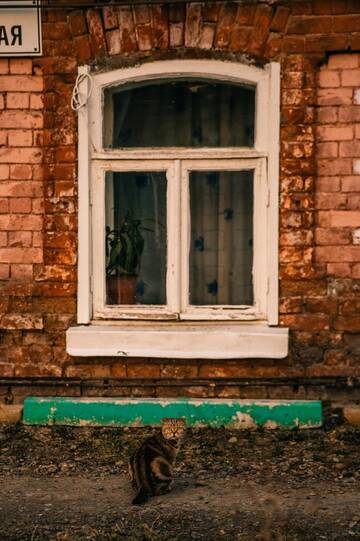 https://forumupload.ru/uploads/0009/61/87/230/t882941.jpg