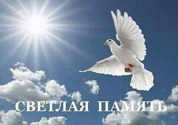 https://forumupload.ru/uploads/0009/6c/04/2116/t710056.jpg