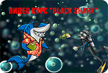 Black Shark - как новичку с полного нуля заработать от 1,450 рублей 572658