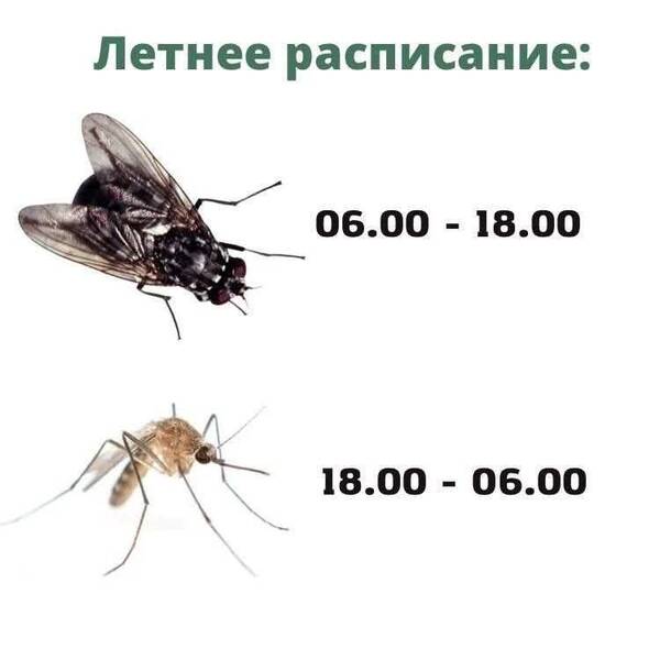 https://forumupload.ru/uploads/000a/3f/42/819/t682903.jpg