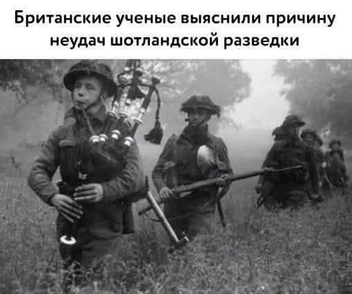 https://forumupload.ru/uploads/000a/3f/42/819/t938488.jpg