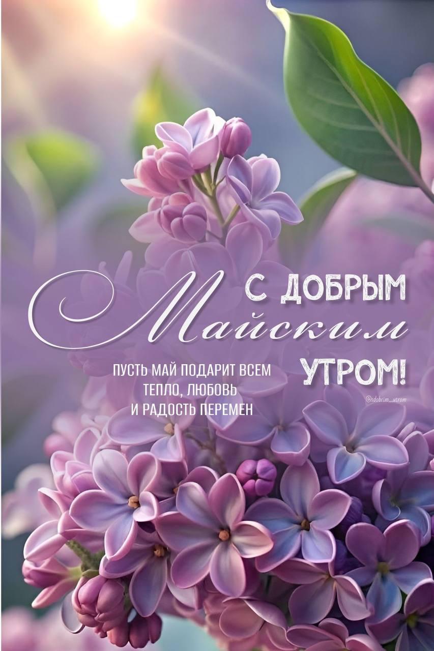 https://forumupload.ru/uploads/000a/78/7a/526/12209.jpg