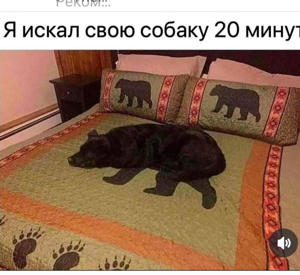 https://forumupload.ru/uploads/000a/78/7a/526/138462.jpg
