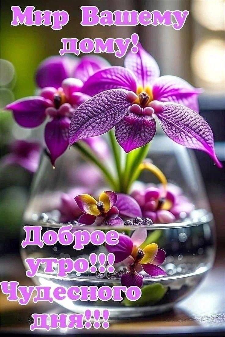 https://forumupload.ru/uploads/000a/78/7a/526/143648.jpg
