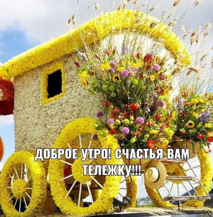 https://forumupload.ru/uploads/000a/78/7a/526/151601.jpg