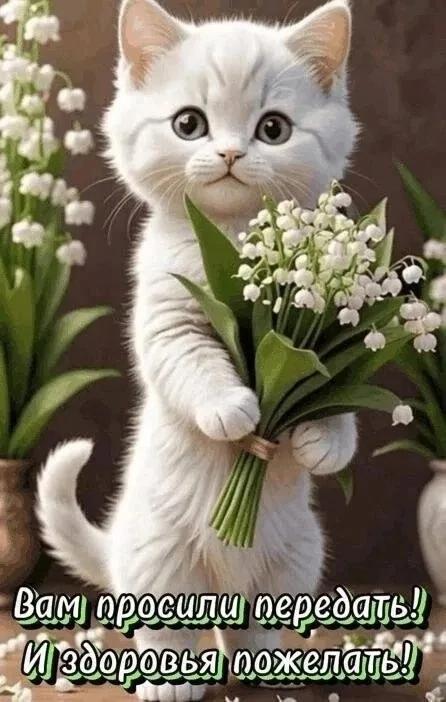 https://forumupload.ru/uploads/000a/78/7a/526/309113.jpg