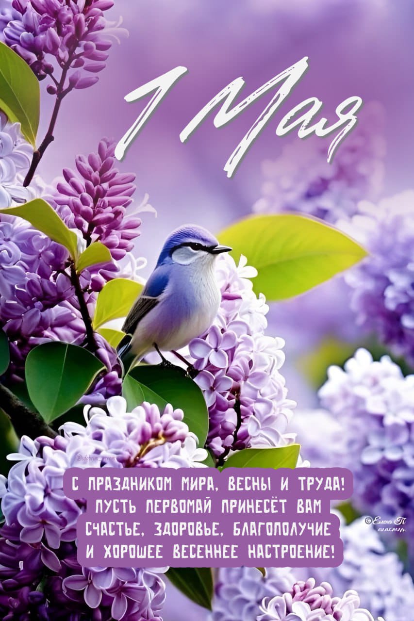 https://forumupload.ru/uploads/000a/78/7a/526/355511.jpg