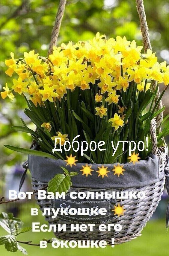 https://forumupload.ru/uploads/000a/78/7a/526/392868.jpg
