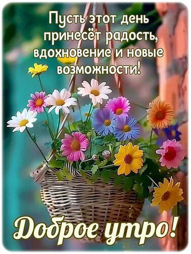 https://forumupload.ru/uploads/000a/78/7a/526/621176.jpg