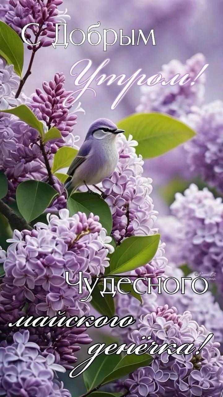 https://forumupload.ru/uploads/000a/78/7a/526/704351.jpg