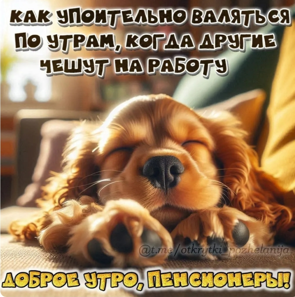 https://forumupload.ru/uploads/000a/78/7a/526/852886.jpg