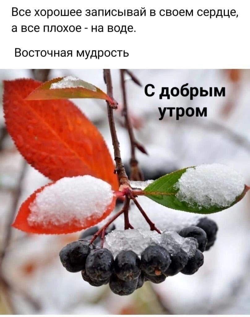 https://forumupload.ru/uploads/000a/78/7a/526/916047.jpg