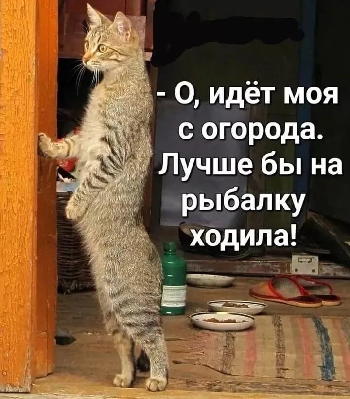 https://forumupload.ru/uploads/000a/78/7a/526/999841.jpg