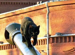 https://forumupload.ru/uploads/000a/e3/16/11903-1.jpg