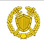 https://forumupload.ru/uploads/000b/27/15/66/t294158.jpg
