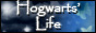 Hogwarts' Life
