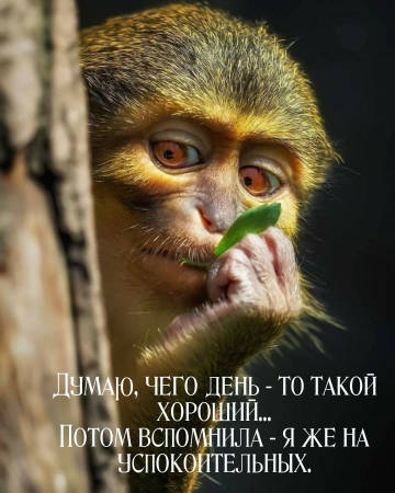 https://forumupload.ru/uploads/000c/7b/d5/180/t38251.jpg