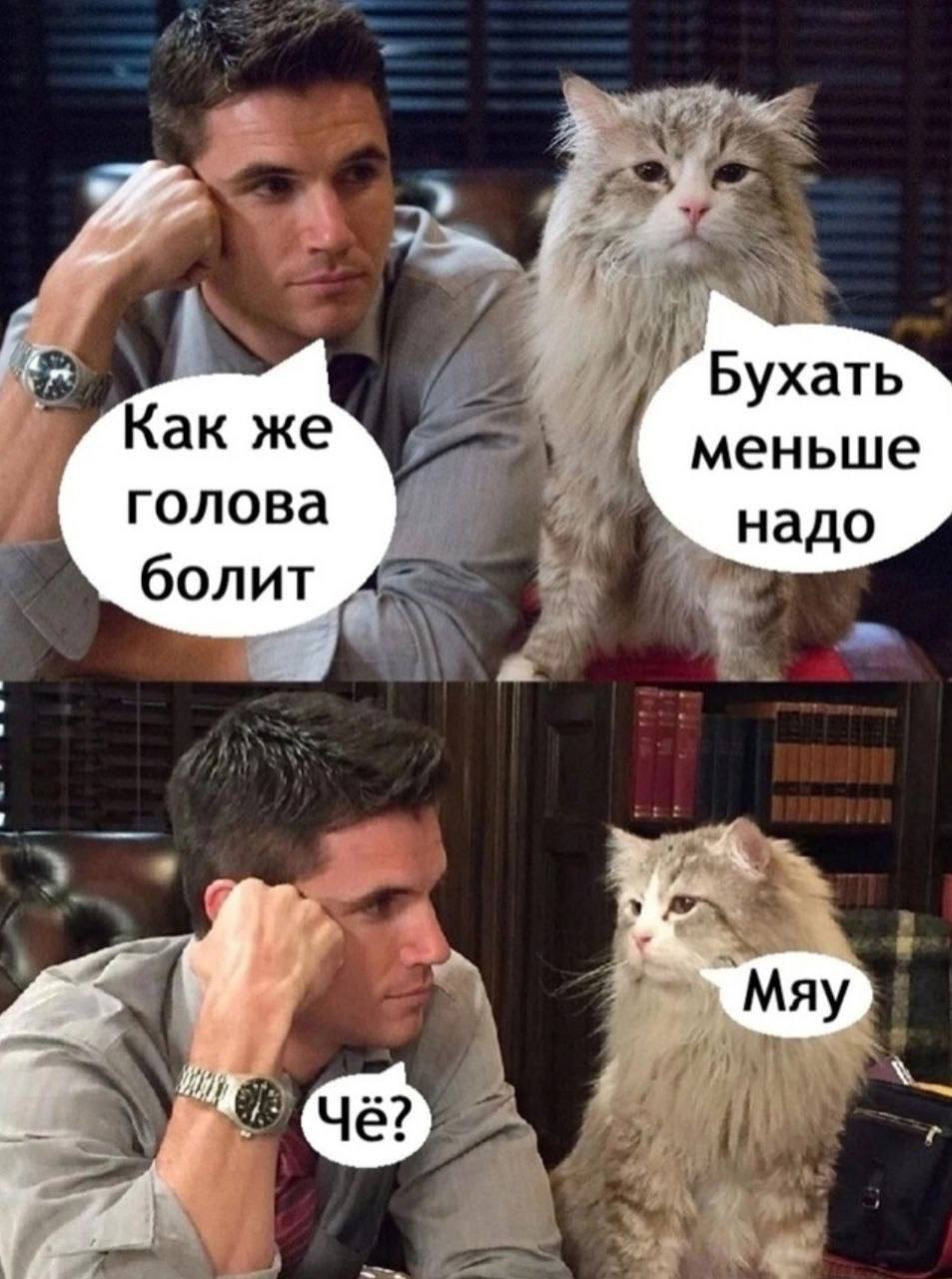 https://forumupload.ru/uploads/000c/cc/b3/2/934369.jpg