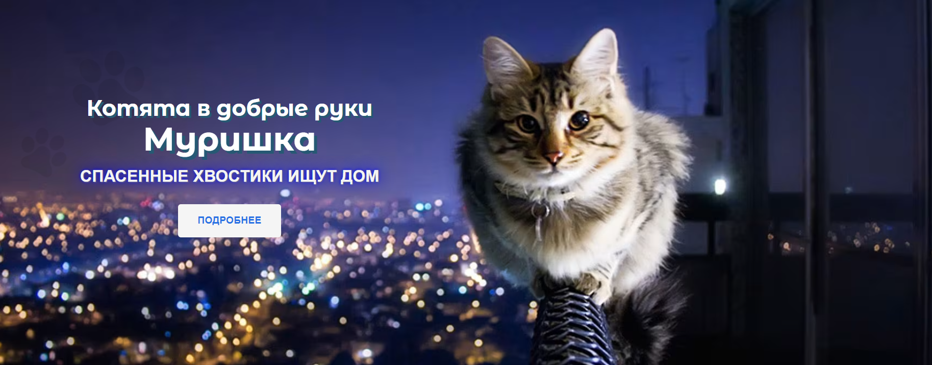 https://forumupload.ru/uploads/000d/aa/a3/409/217913.png