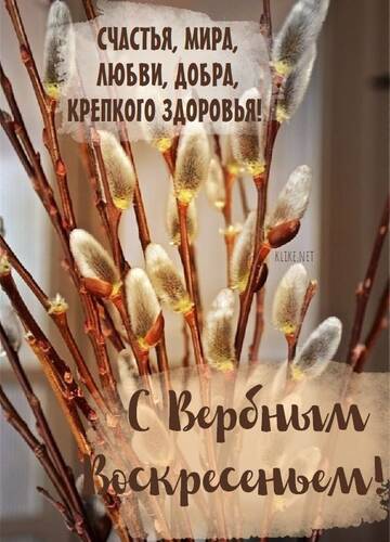 https://forumupload.ru/uploads/000e/4e/24/407/t816373.jpg